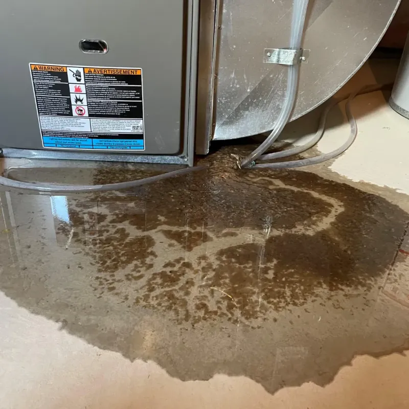 Appliance Leak Cleanup in Carthage, MO