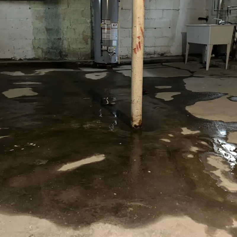 Emergency Water Extraction And Removal in Carthage, MO